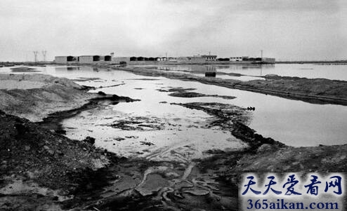 Nowruz Oil Field.jpg