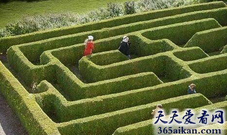 移动迷宫：世界十大迷宫有哪些？