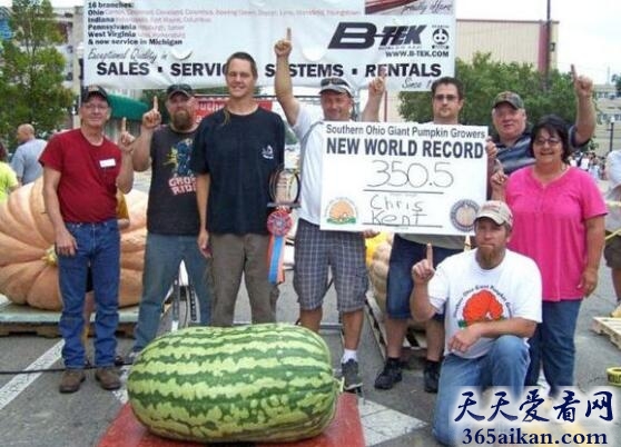 揭秘：世界上最大的西瓜和世界上最小的西瓜