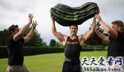 世界上最大的葫芦瓜有多大？世界上最大的葫芦瓜图片赏析