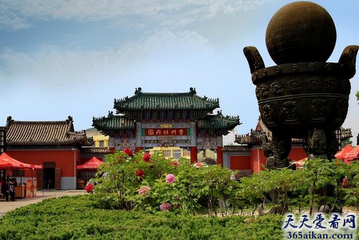 中国最大的牡丹园：曹州牡丹园