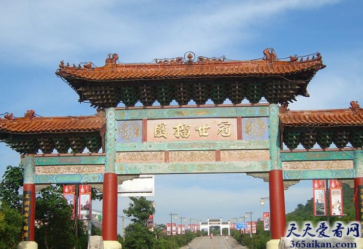 中国最大的石榴园：山东枣庄石榴园