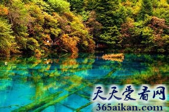 盘点中国不得不去的十大美景有哪些？中国不得不去的十大美景介绍