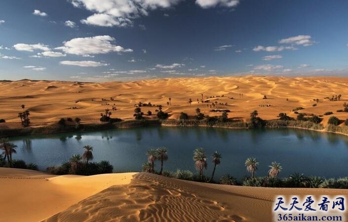 全球最大的沙漠是什么？全球最大的沙漠介绍