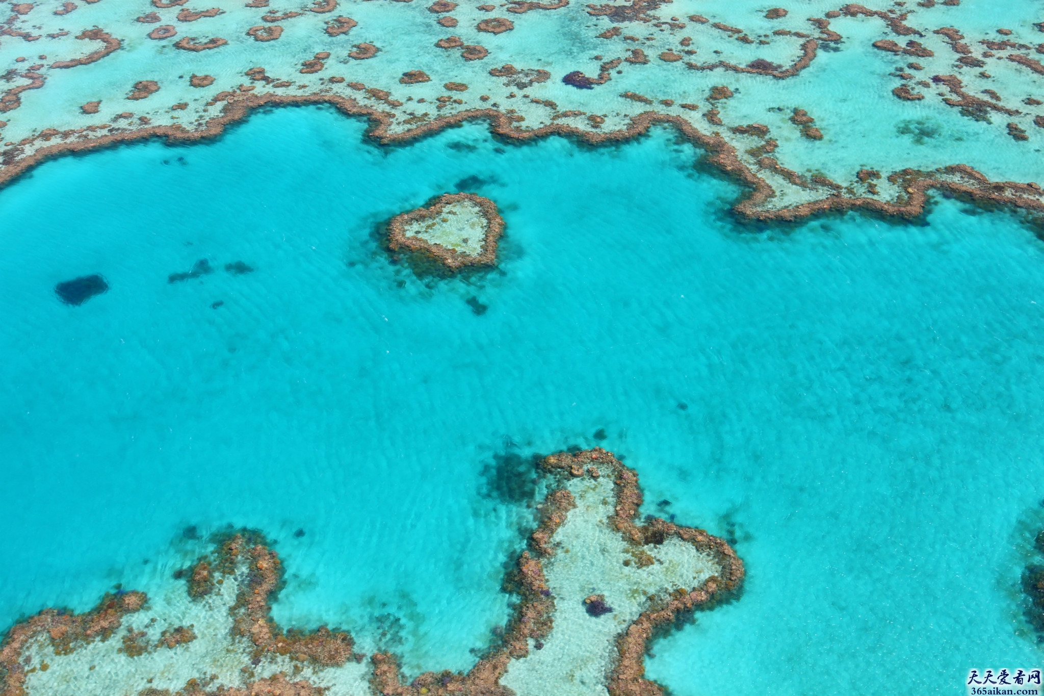 世界上最大的暗礁在哪？世界上最大的暗礁介绍