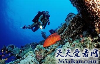 盘点全球十大潜水盛胜有哪些？全球十大潜水胜地美图欣赏