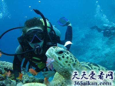 盘点全球十大潜水盛胜有哪些？全球十大潜水胜地美图欣赏