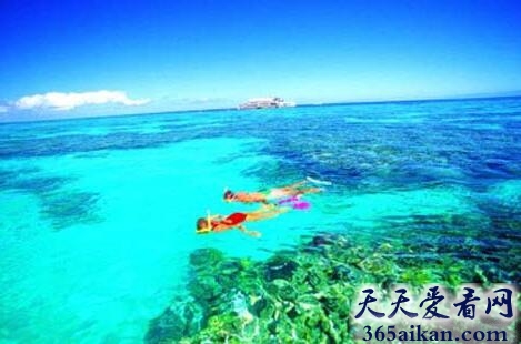 珊瑚海1.jpg