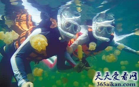 盘点全球十大潜水盛胜有哪些？全球十大潜水胜地美图欣赏