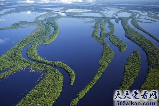 世界上流域面积最大的河流——亚马逊河流域