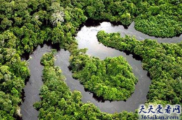 盘点全球十大热带雨林有哪些？全球十大热带雨林美图赏析