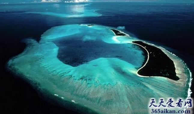 世界上最清澈的海域：马尾藻海