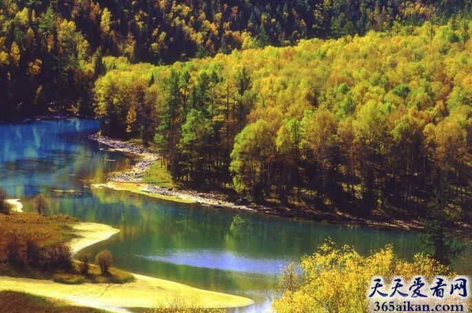 中国最大原始森林是什么？中国原始森林介绍