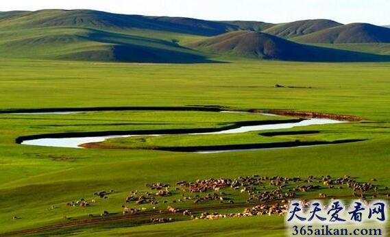 中国最大的草原是什么草原？中国最大的草原介绍