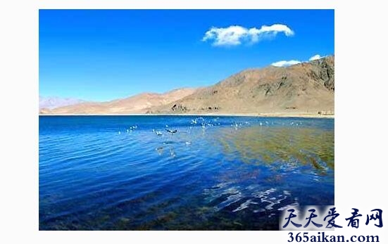 中国海拔最高的湖泊是什么？中国海拔最高的湖泊介绍