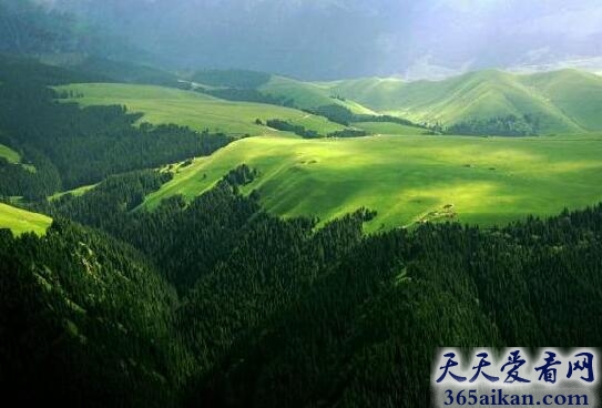 盘点中国十大最迷人的森林有哪些？中国十大最迷人的森林美图赏析