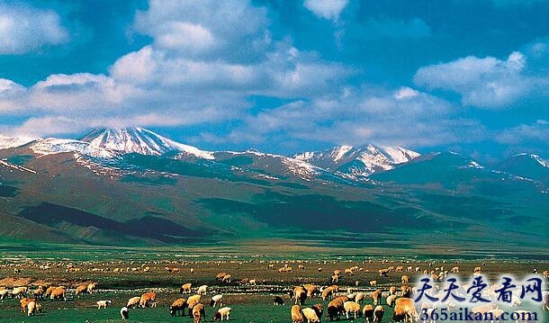 中国面积最大的省级行政区——新疆维吾尔自治区