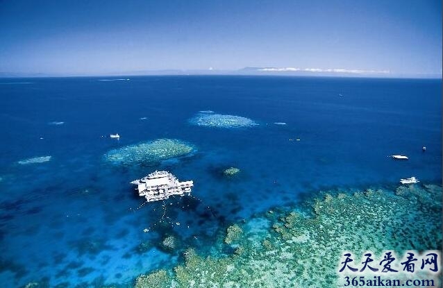 世界上最深的海：珊瑚海
