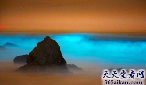 揭秘美国加州海岸的神奇蓝色光芒是什么？
