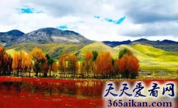 细数中国十大最美丽的秋天景色有哪些地方？中国十大最美丽的秋天景色美图欣赏