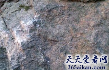 地球上最古老的岩石距近多少年？世界上最古老的岩石介绍