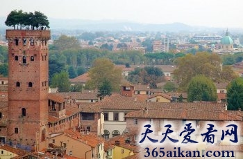 细数全球最出名的十大空中花园是哪些？全球最出名的十大空中花园介绍