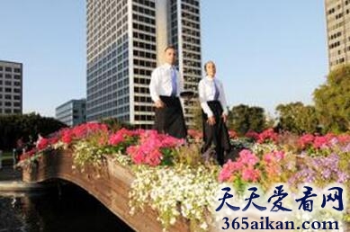 细数全球最出名的十大空中花园是哪些？全球最出名的十大空中花园介绍