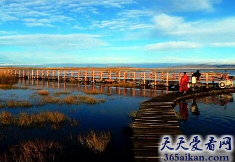 美丽、神奇大自然！中国最美丽的六大沼泽湿地
