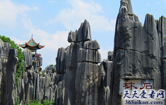 云南石林1.jpg