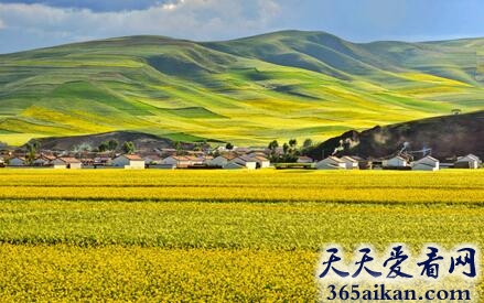 中国十大最美草原有哪些?中国十大最美草原图鉴赏析