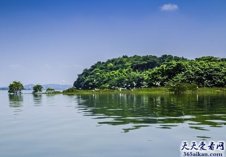 中国十大湖泊排行榜 有你家乡的吗？
