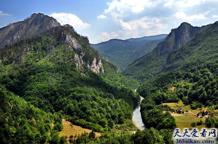 黑山共和国的塔拉河峡谷.jpg