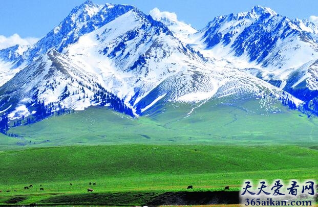 新疆最热门的十大旅游景点，体验异域风情绝佳场地！