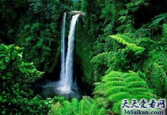 雁荡山瀑布.jpg