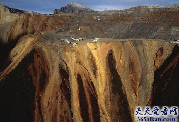 破坏生态系统.jpg