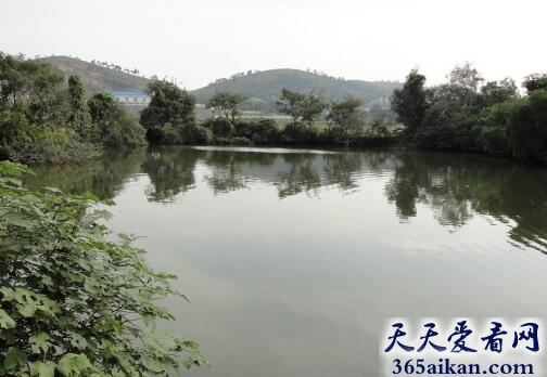 自然之最！中国五大淡水湖大盘点