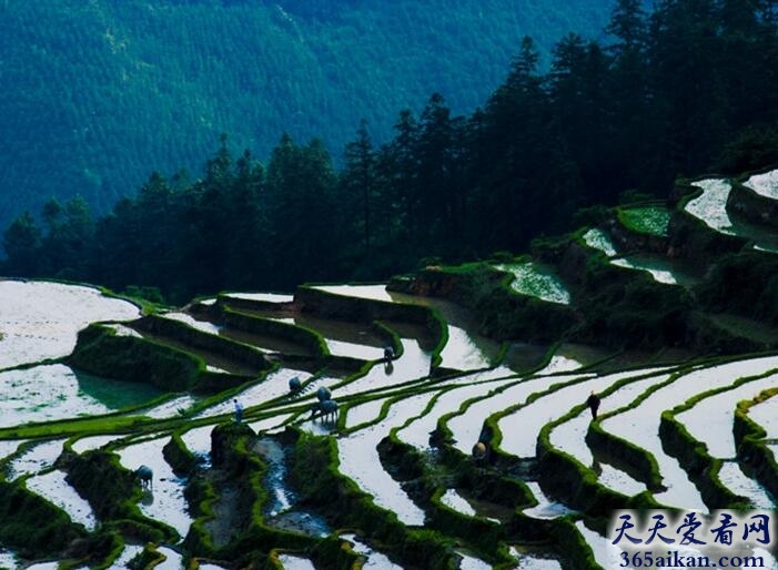 中国十大最美梯田排行榜，乡村和美景的完美结合！