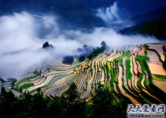 贵州加榜梯田.jpg
