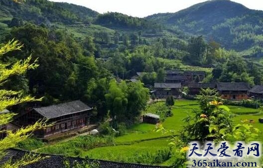 永定区石堰坪村.jpg