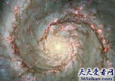涡状星系
