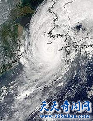 台风萨拉.jpg