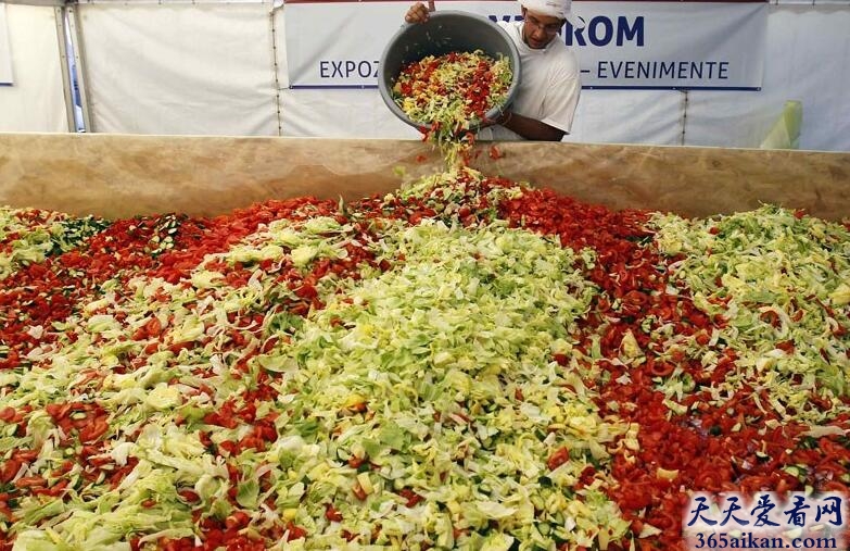 世界最重最大的蔬菜沙拉是怎么样的？世界最重最大的蔬菜沙拉介绍
