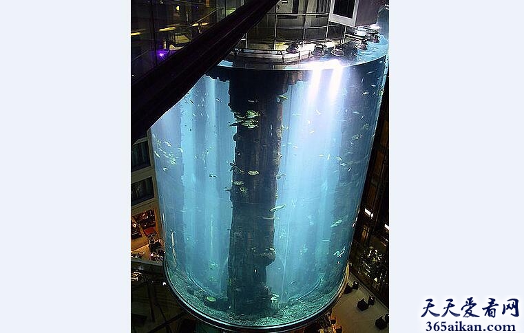 世界上最大的圆柱水族馆是怎么样的？世界上最大的圆柱水族馆介绍