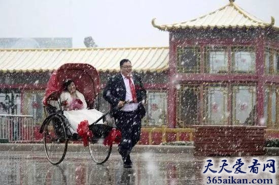 细数世界上各种惊骇世俗的奇葩婚礼有哪些？各种秀技术，婚礼欢乐多