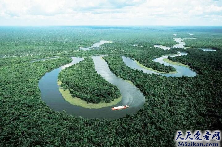 亚马逊河.jpg