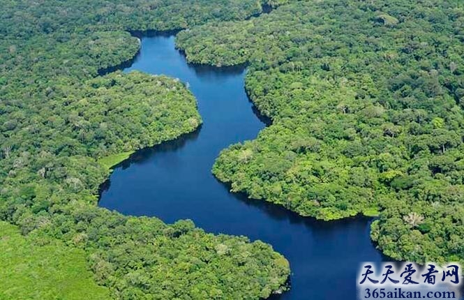 世界上最大的热带雨林区：亚马逊河流域