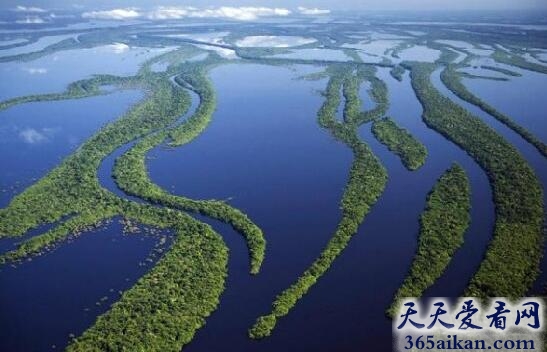 亚马逊河流域1.jpg