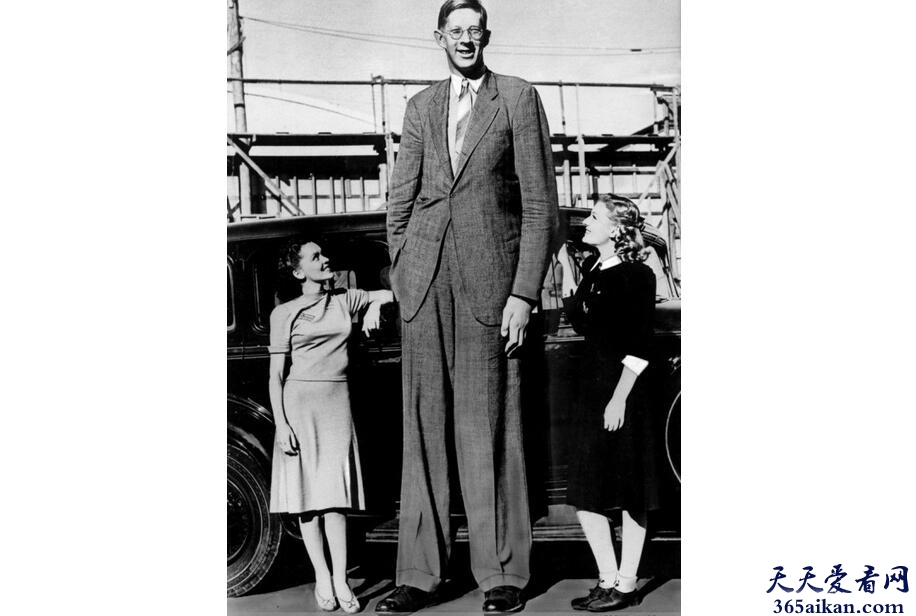 揭秘谁是世界最高的人？世界上最高的人有哪些？