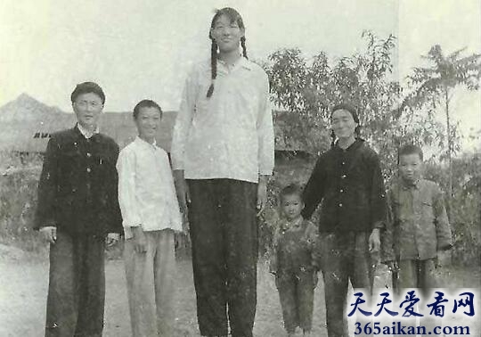 曾金莲1.jpg