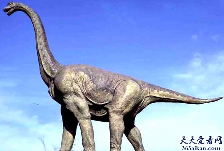 有史以来世界上最高的恐龙——腕龙